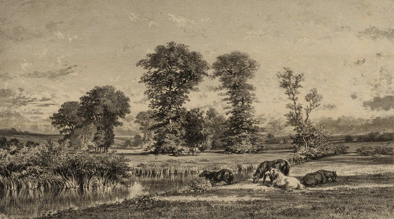 Græssende heste af Adolphe Mouilleron