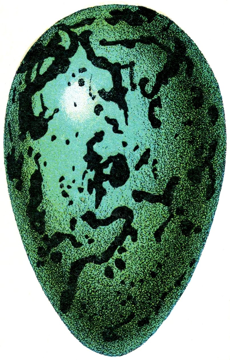 Lundeæg, 1923 af Adolphe Philippe Millot
