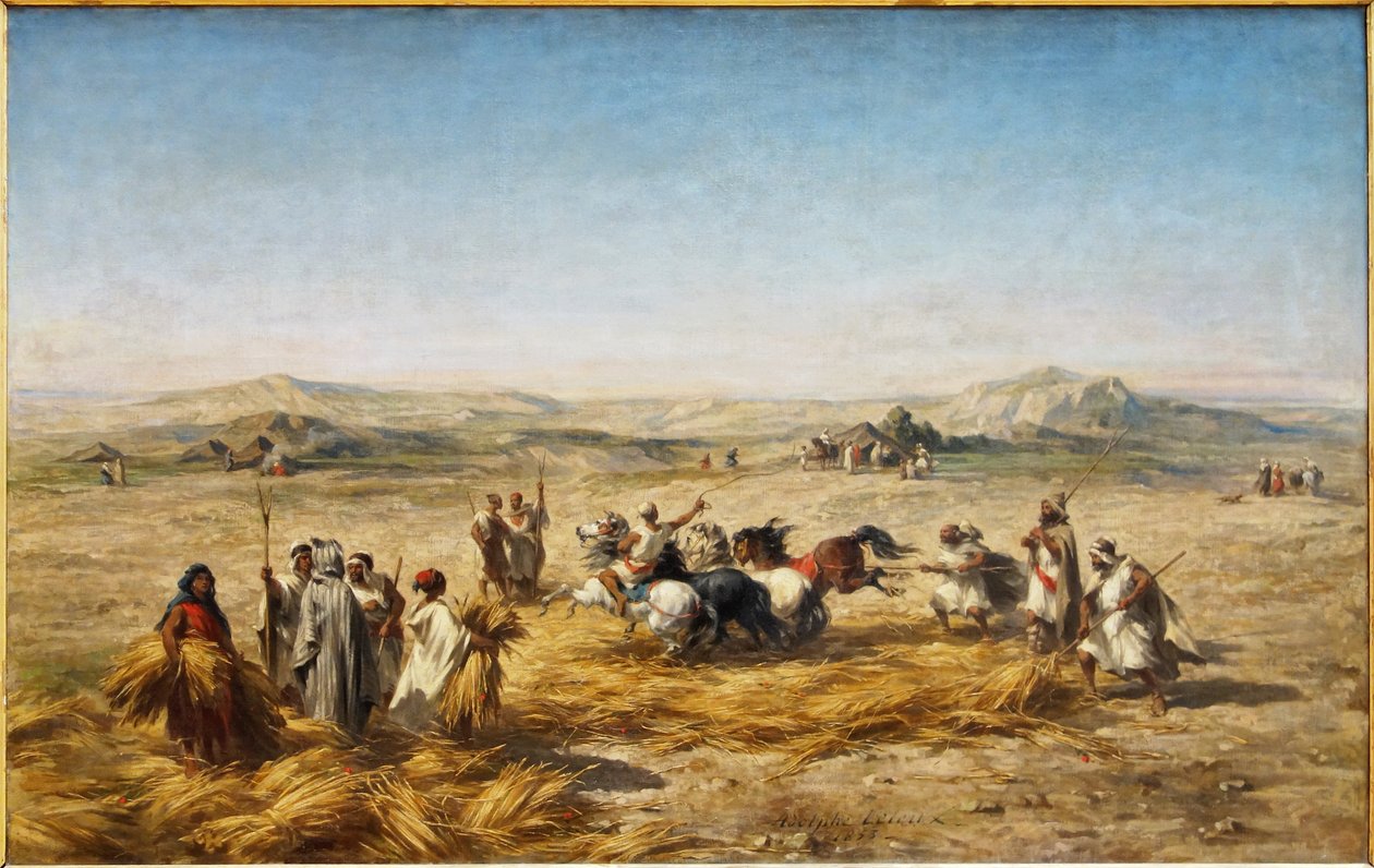 Fransk: Aflæsning af hvede i Algeriet af Adolphe Pierre Leleux