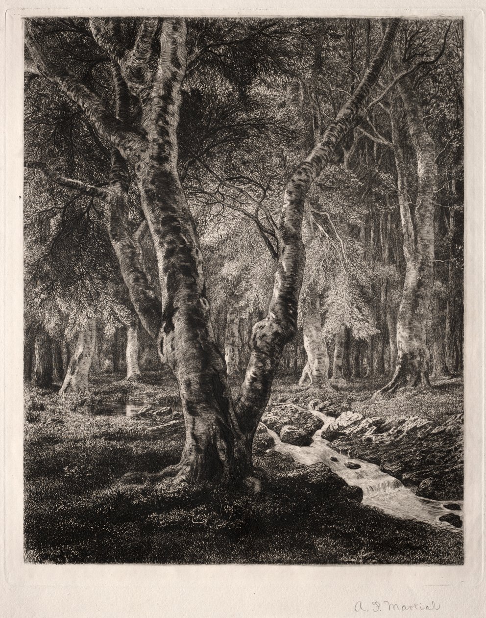 Pierrefonds Skov af Adolphe Théodore Jules Martial Potémont