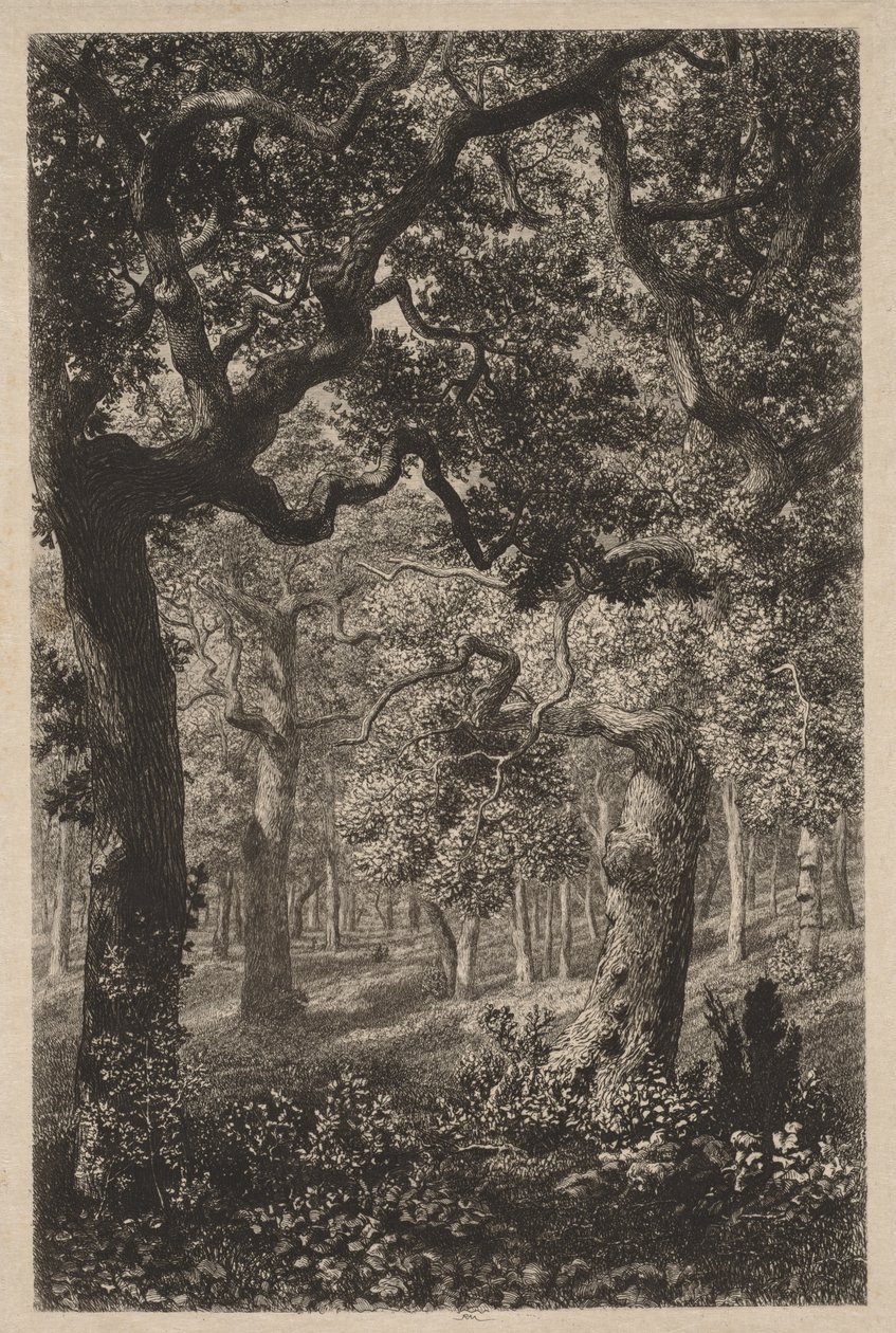 I skoven af Adolphe Théodore Jules Martial Potémont