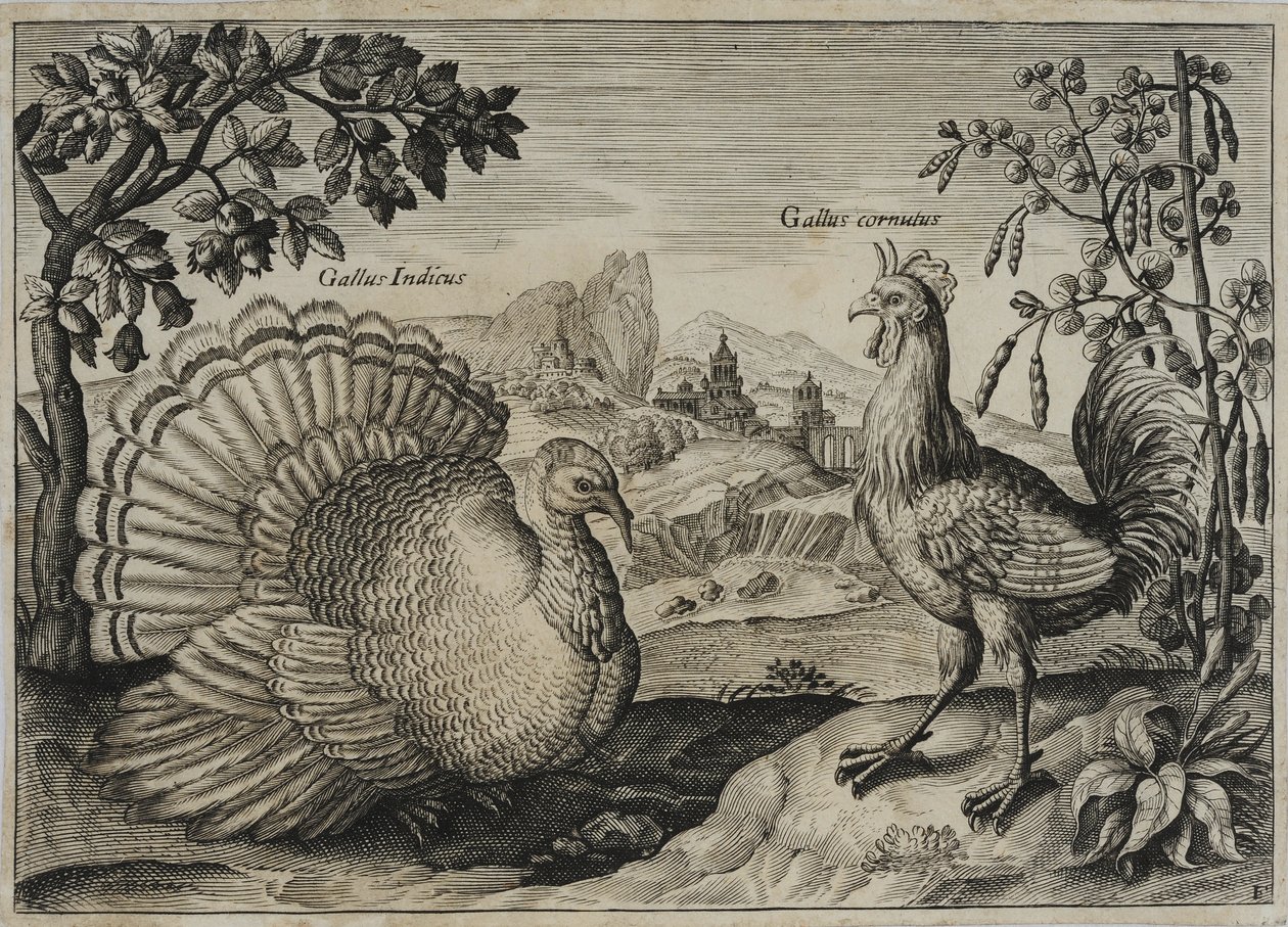 Gammel Mestergravering af Adriaen Collaert