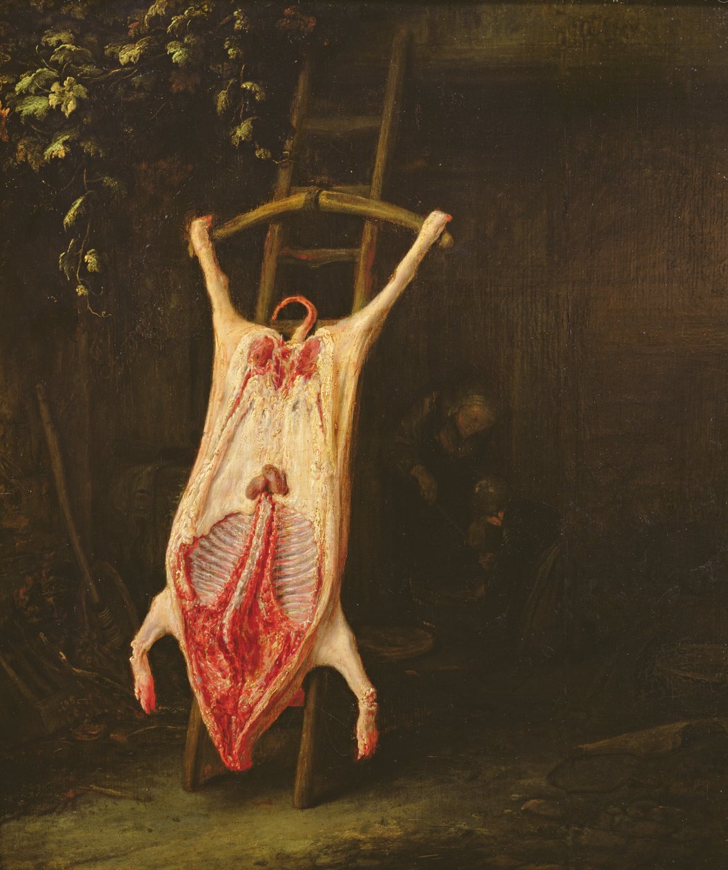 Fløjet Gris af Adriaen Jansz. van Ostade