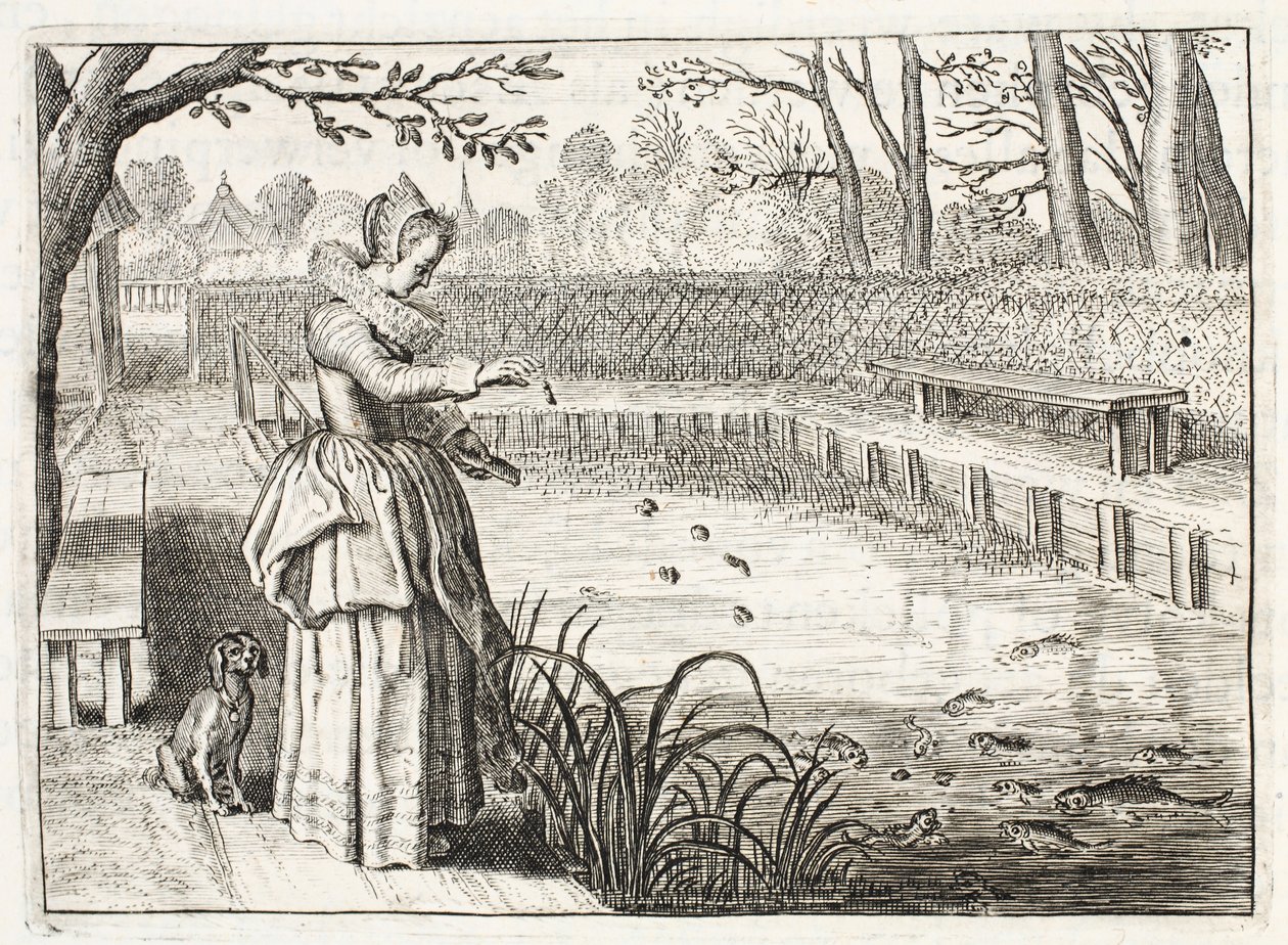 At fodre fiskene, illustration fra 