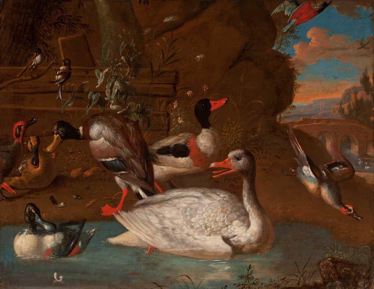 En norsk hvid gås omgivet af en Sheldug, gråand, skovle, krikand og langhalemejser i et italiensk landskab ved tusmørket, 1703 af Adriaen van Oolen