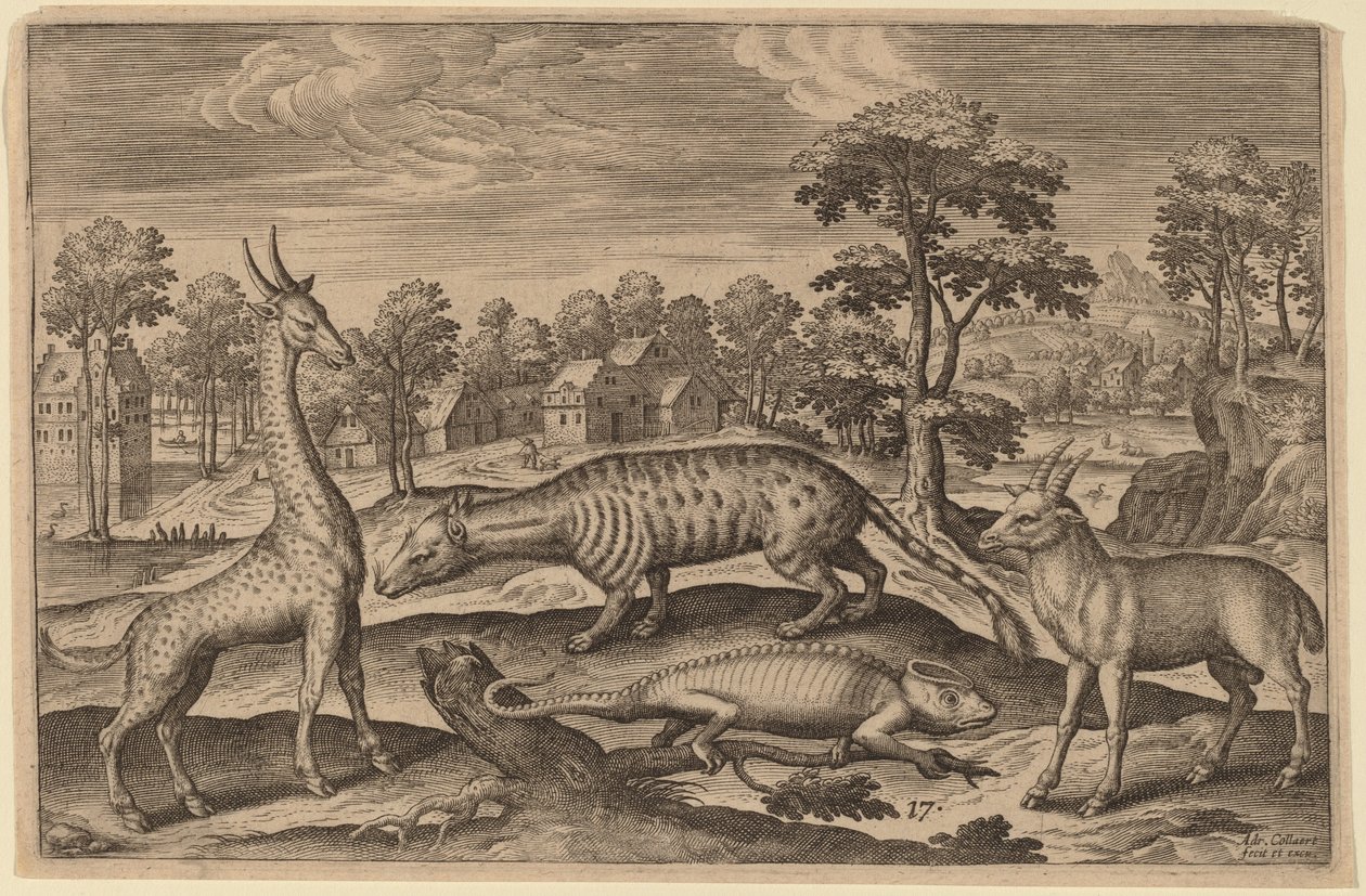 En giraf, en kamæleon, en sivet og en antilope af Adriaen Collaert