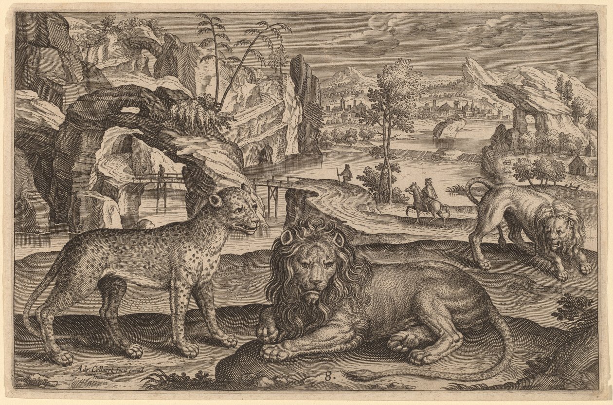 En leopard og to løver af Adriaen Collaert