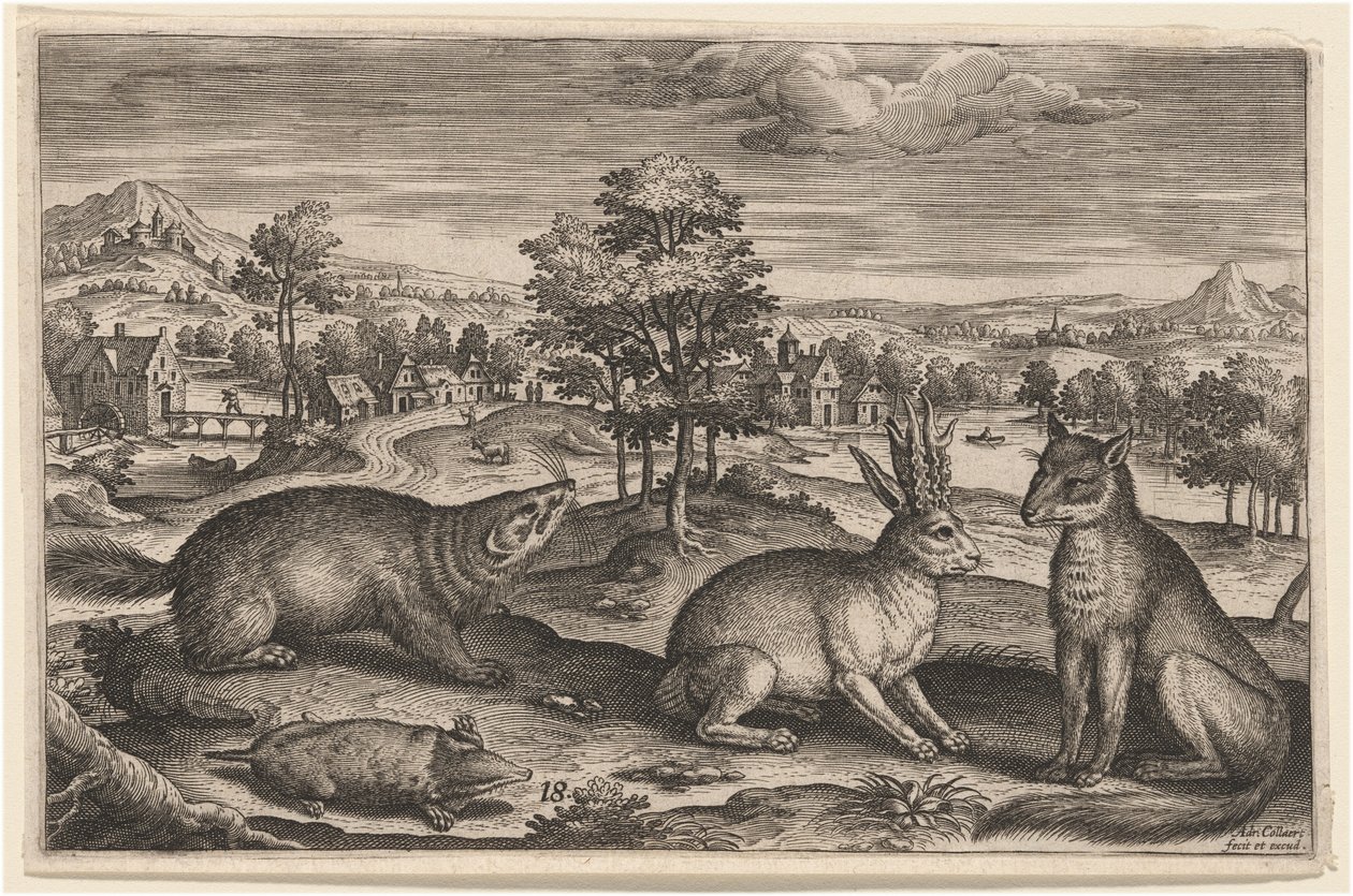 En muldvarp, en grævling, en hornet hare og en ræv af Adriaen Collaert