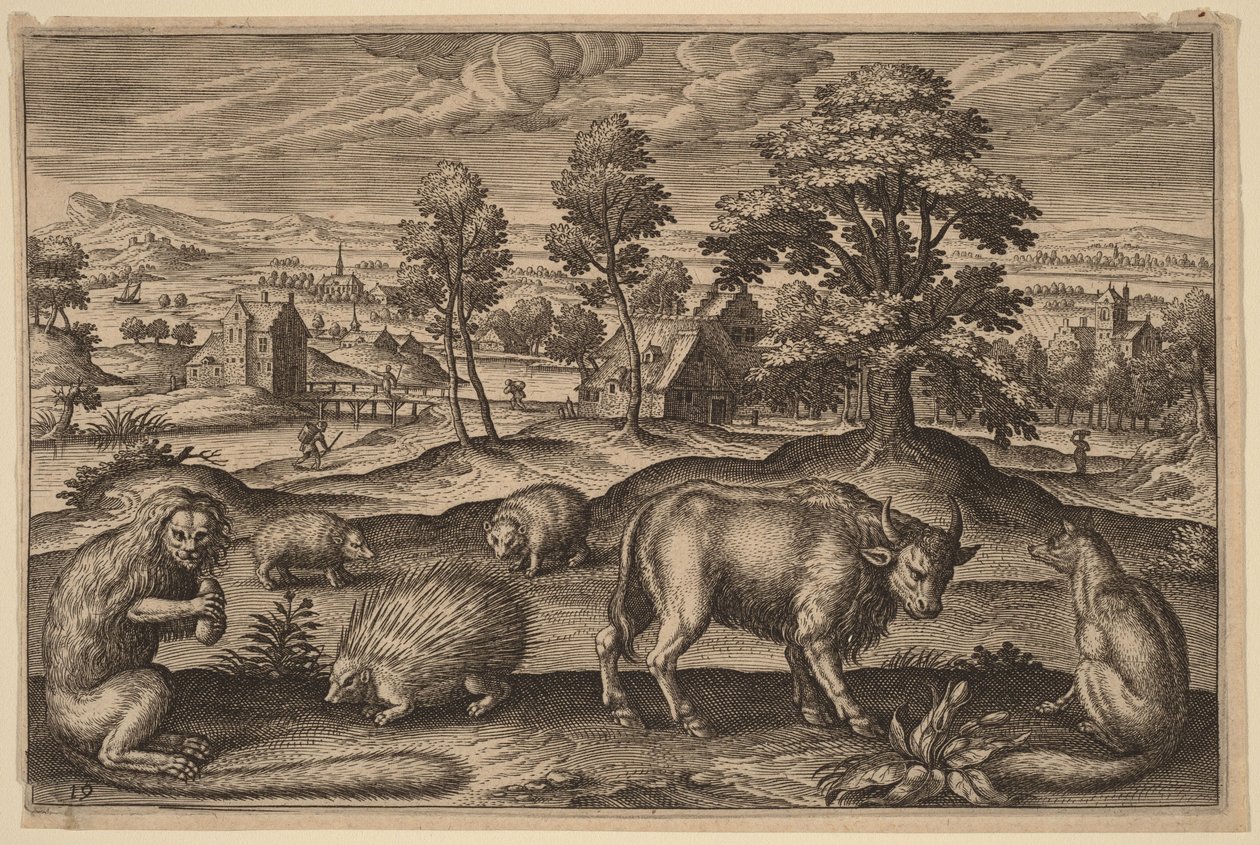 En abe, et pindsvin, to pindsvin, en bøffel og en ræv af Adriaen Collaert