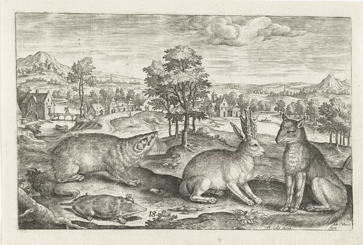 skovens dyr Firebenede dyr (serietitel) Animalivm Qvaddrvpedvm (serietitel) af Adriaen Collaert