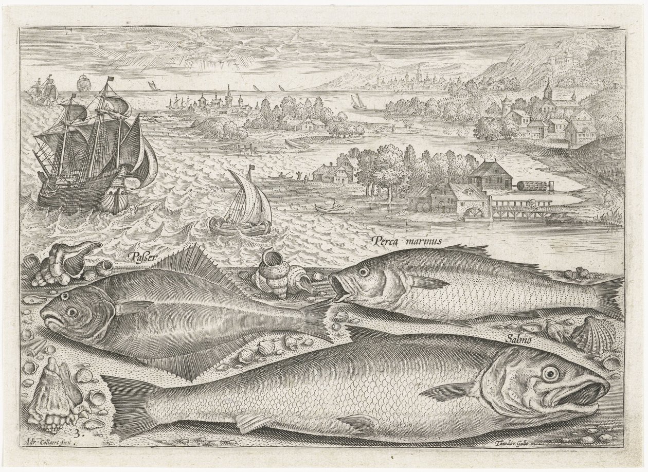 Tre fisk på stranden Fiskeri (serietitel) Piscium vivae-ikoner (serietitel) af Adriaen Collaert