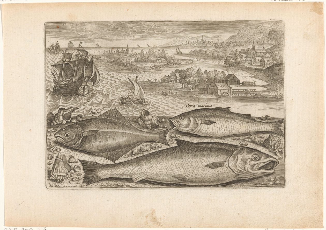 Tre fisk på stranden Fiskeri (serietitel) Piscium vivae-ikoner (serietitel) af Adriaen Collaert