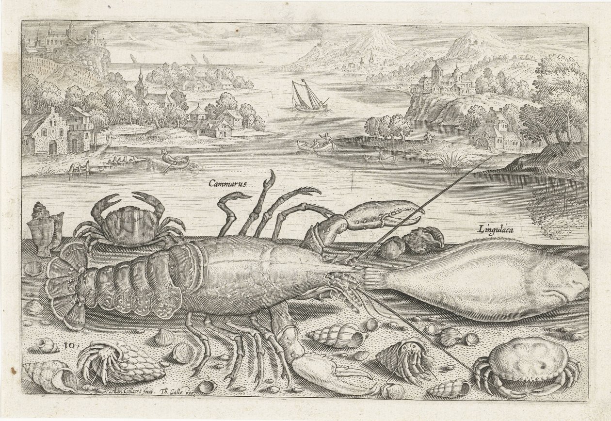 En fisk og nogle krebsdyr på stranden Fiskeri (serietitel) Piscivm vivae ikoner (serietitel) af Adriaen Collaert