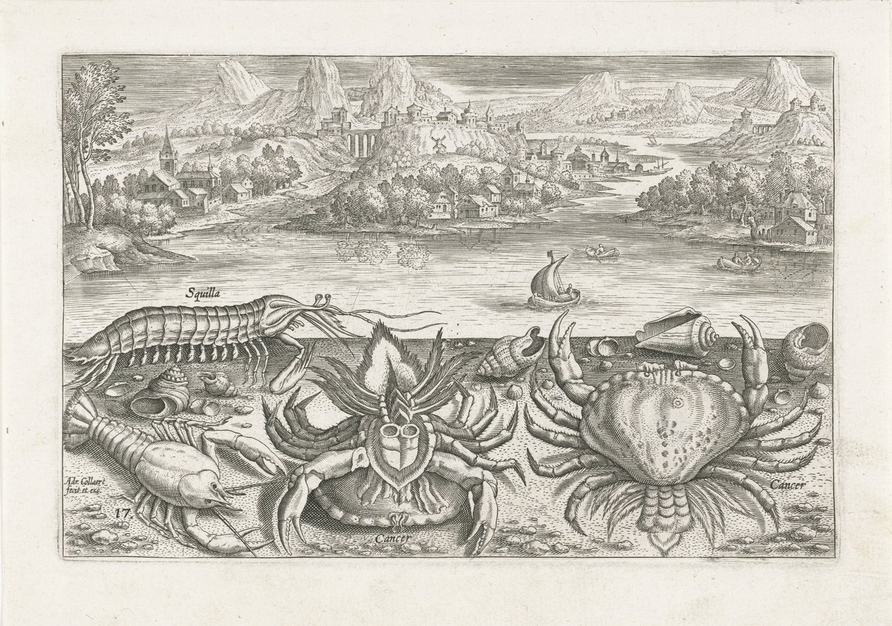 Nogle krebsdyr på stranden Fiskeri (serietitel) Piscium vivae-ikoner (serietitel) af Adriaen Collaert