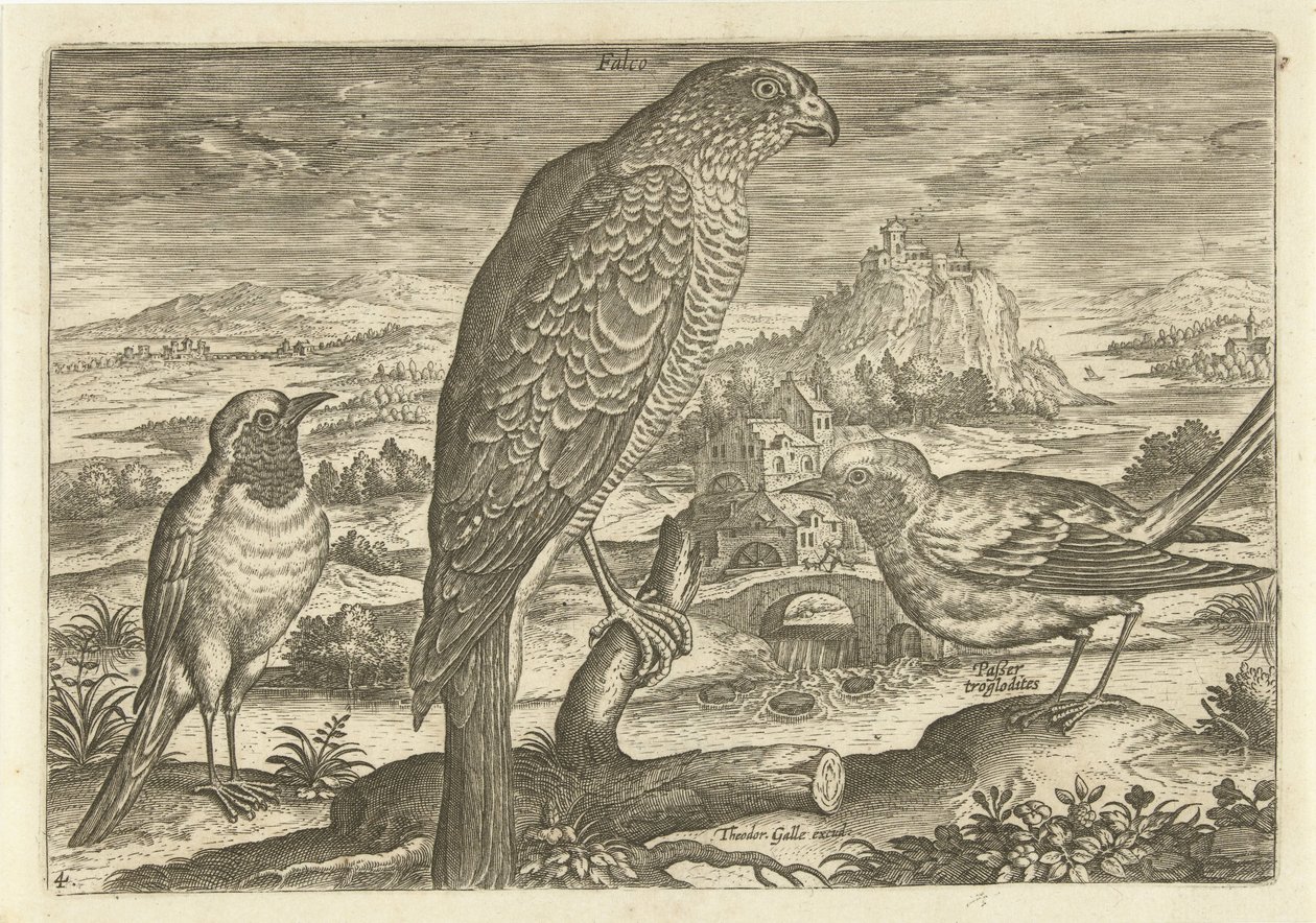 Nogle fugle i et landskab Fugle (serietitel) Avivm vivae (serietitel) af Adriaen Collaert