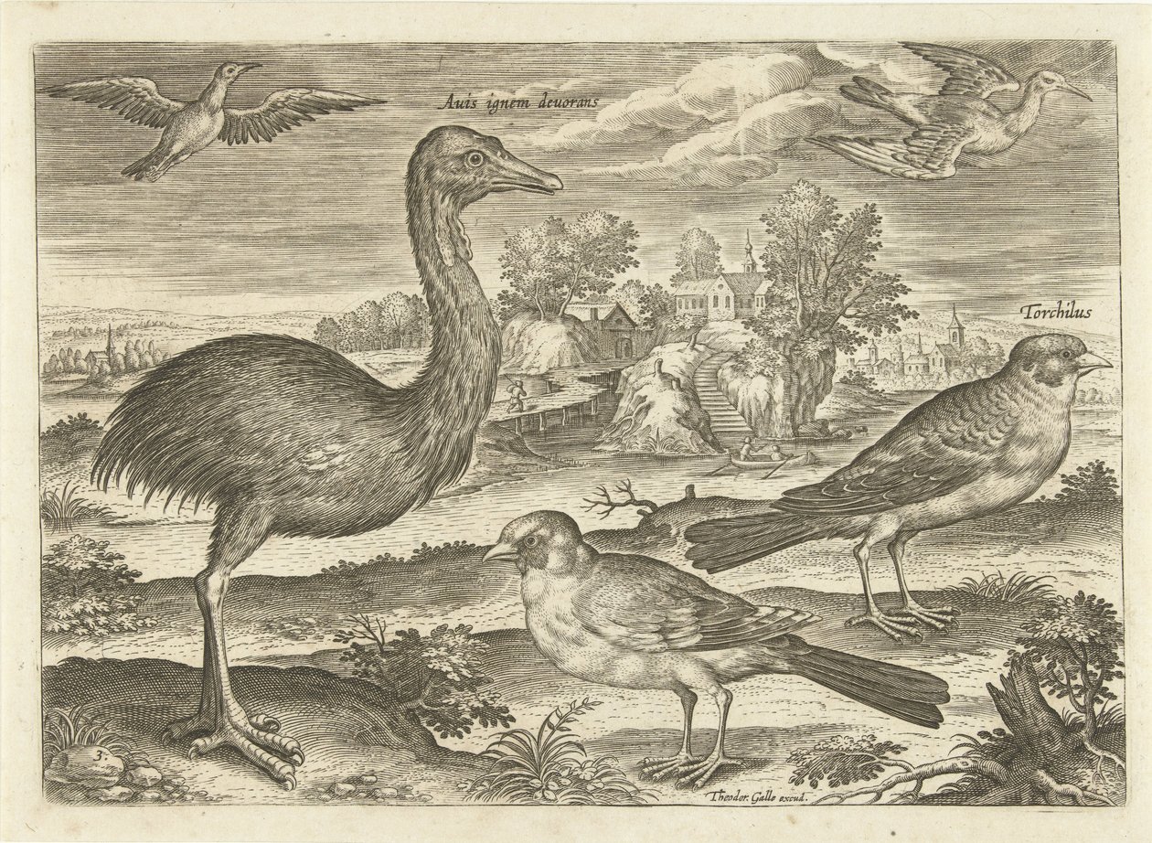 Nogle fugle i et landskab Fugle (serietitel) Avivm vivae (serietitel) af Adriaen Collaert