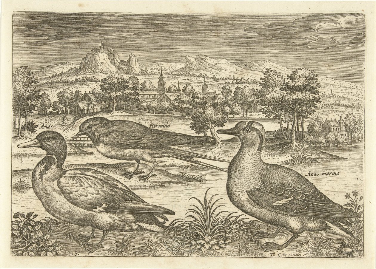 Nogle fugle i et landskab Fugle (serietitel) Avivm vivae (serietitel) af Adriaen Collaert