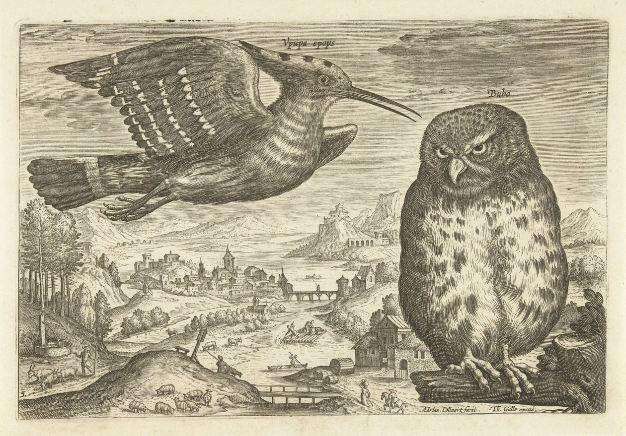 Nogle fugle i et landskab Fugle (serietitel) Avivm vivae (serietitel) af Adriaen Collaert