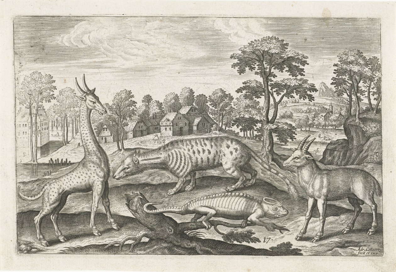 eksotiske dyr Firebenede dyr (serietitel) Animalivm Qvaddrvpedvm (serietitel) af Adriaen Collaert