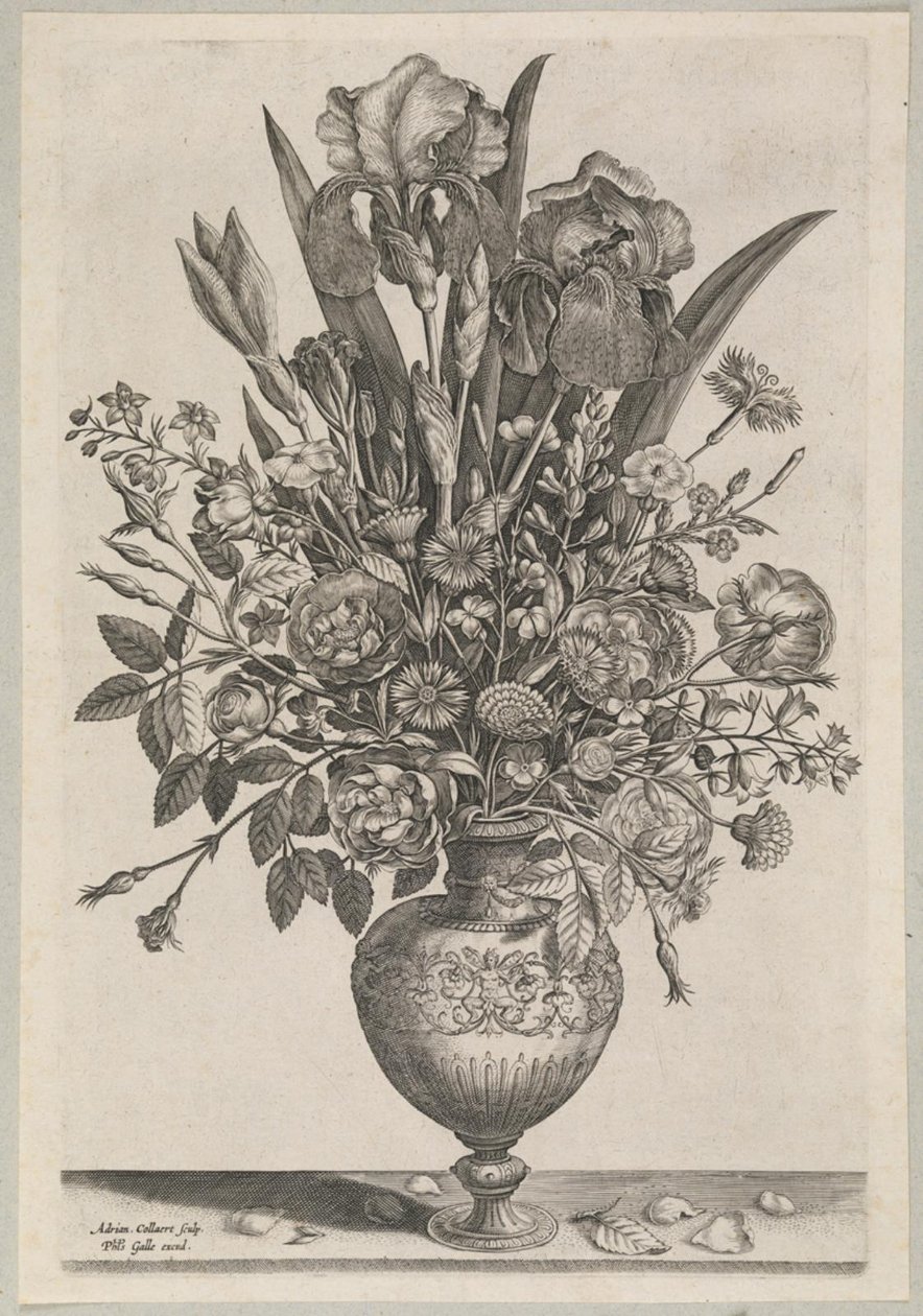 Blomsterstykke med iris af Adriaen Collaert