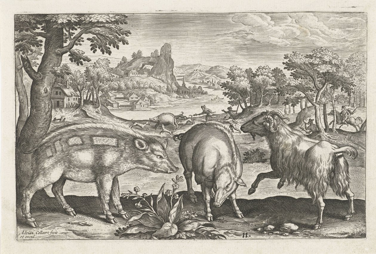Ged og orne Firebenede dyr (serietitel) Animalivm Qvaddrvpedvm (serietitel) af Adriaen Collaert