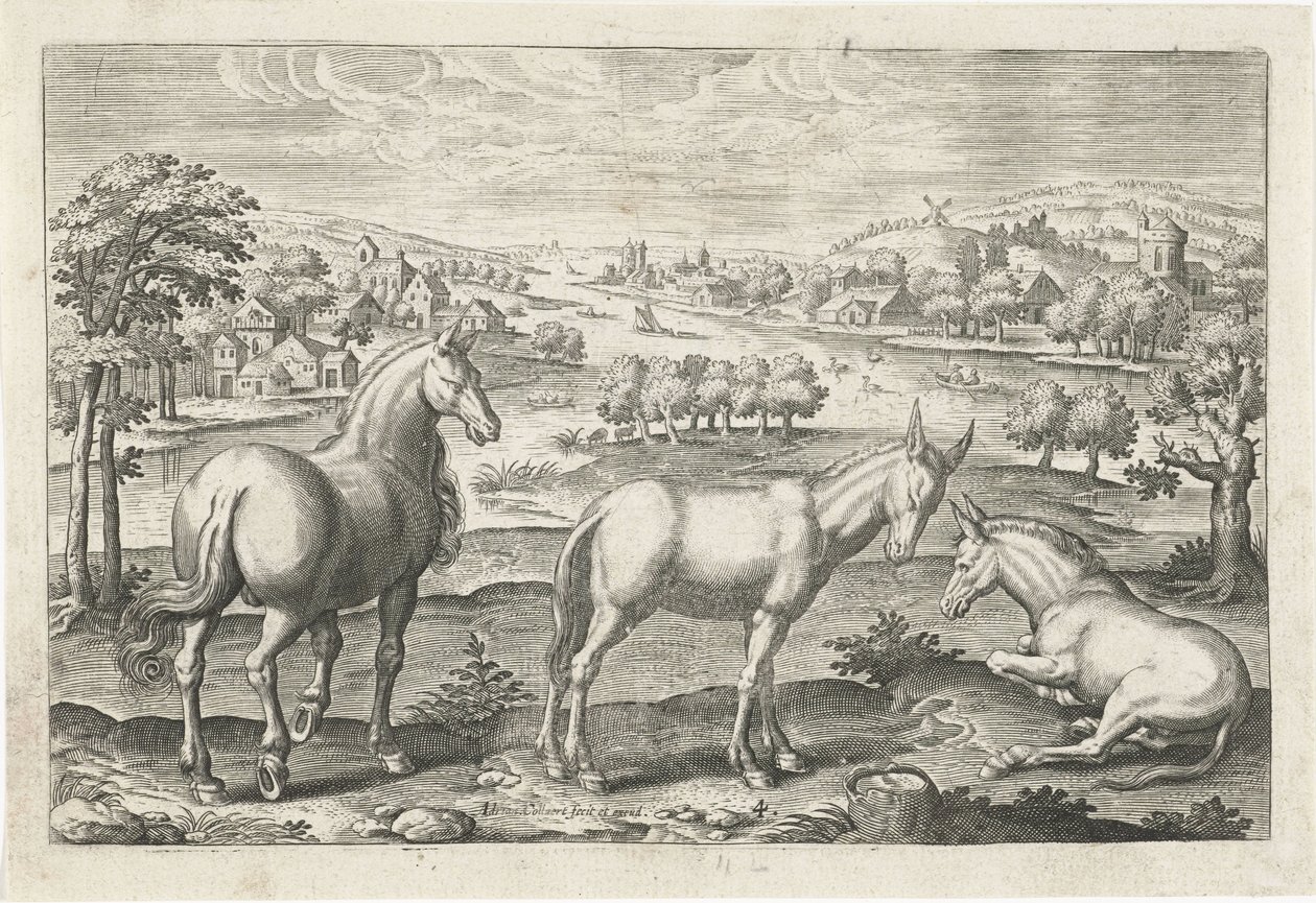 Hest og æsler Firebenede dyr (serietitel) Animalivm Qvaddrvpedvm (serietitel) af Adriaen Collaert