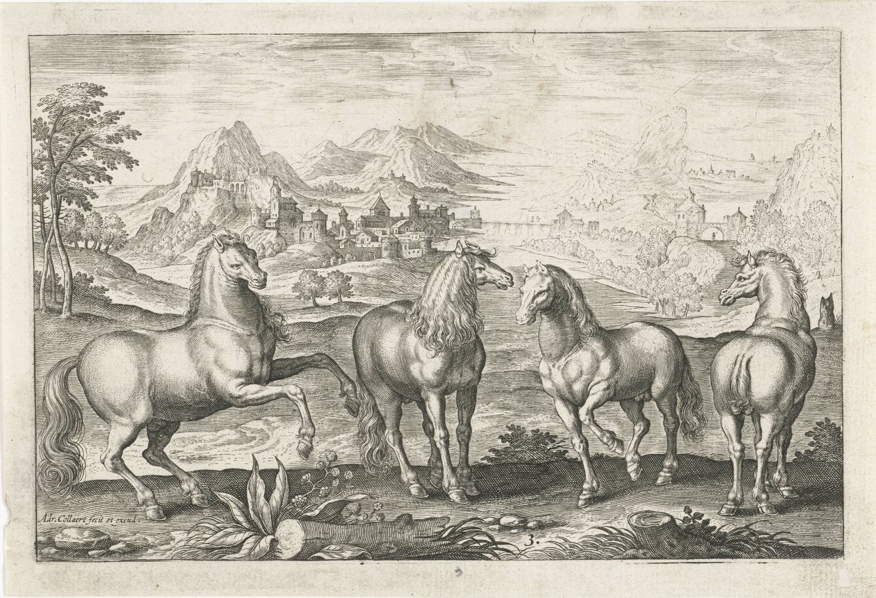 Heste Firebenede dyr (serietitel) Animalivm Qvaddrvpedvm (serietitel) af Adriaen Collaert