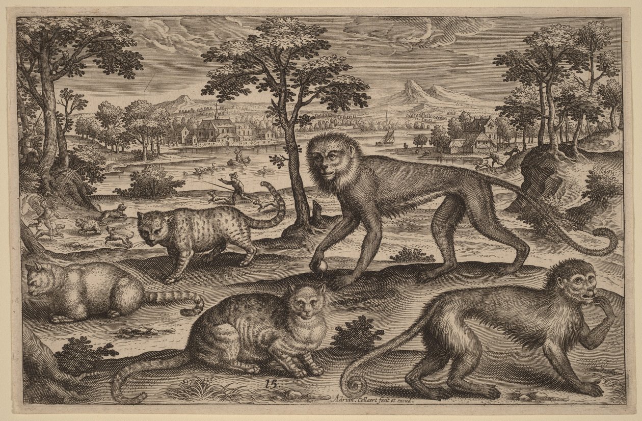 Tre katte og to aber af Adriaen Collaert