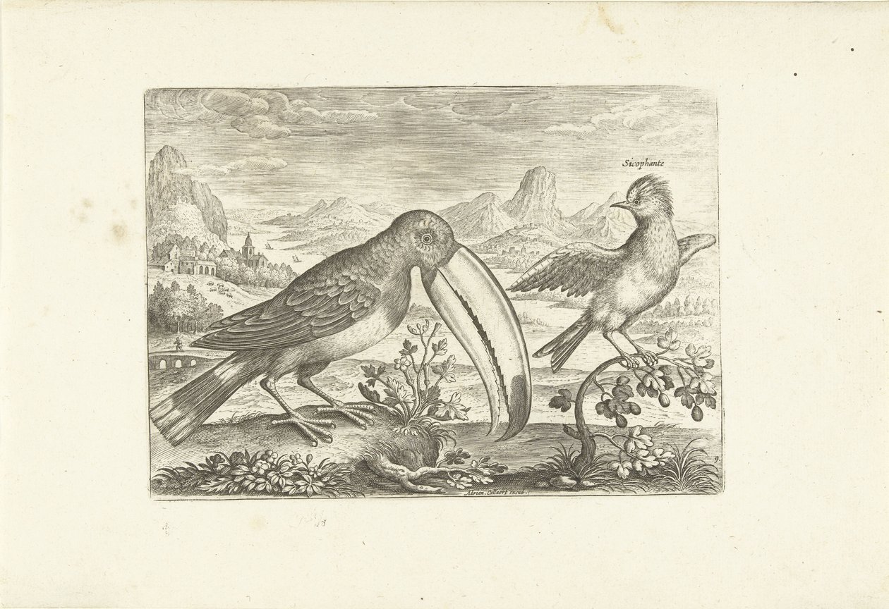 To eksotiske fugle i et landskab Fugle (serietitel) Avium vivae (serietitel) af Adriaen Collaert