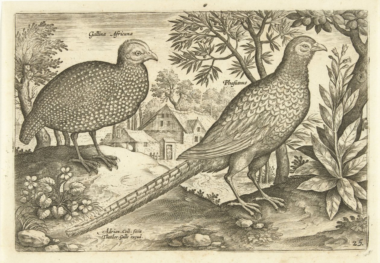 To høns i et landskab Avivm Vivae (serietitel) Fugle (serietitel) af Adriaen Collaert