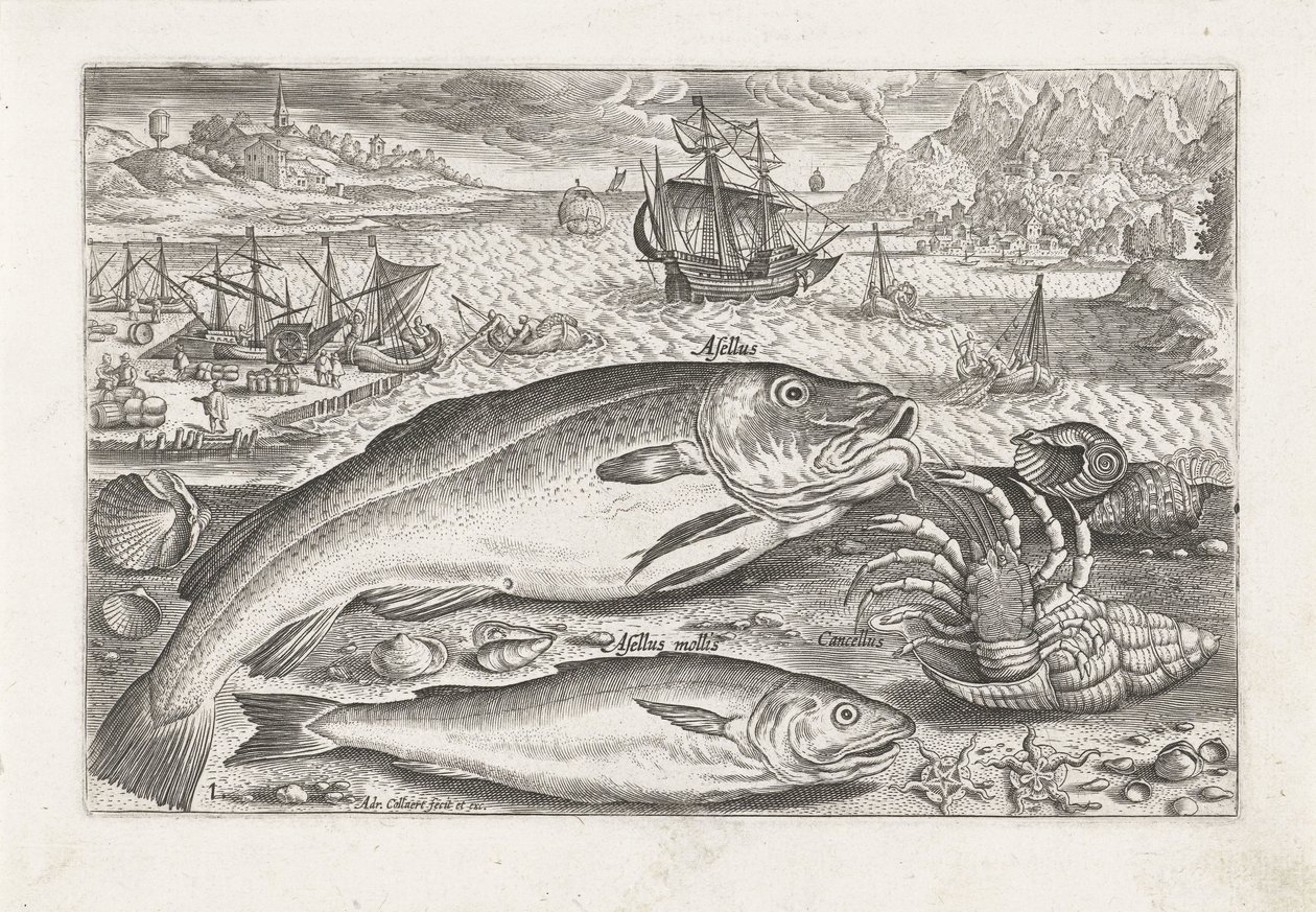 To fisk på stranden Fiskeri (serietitel) Piscium vivae-ikoner (serietitel) af Adriaen Collaert