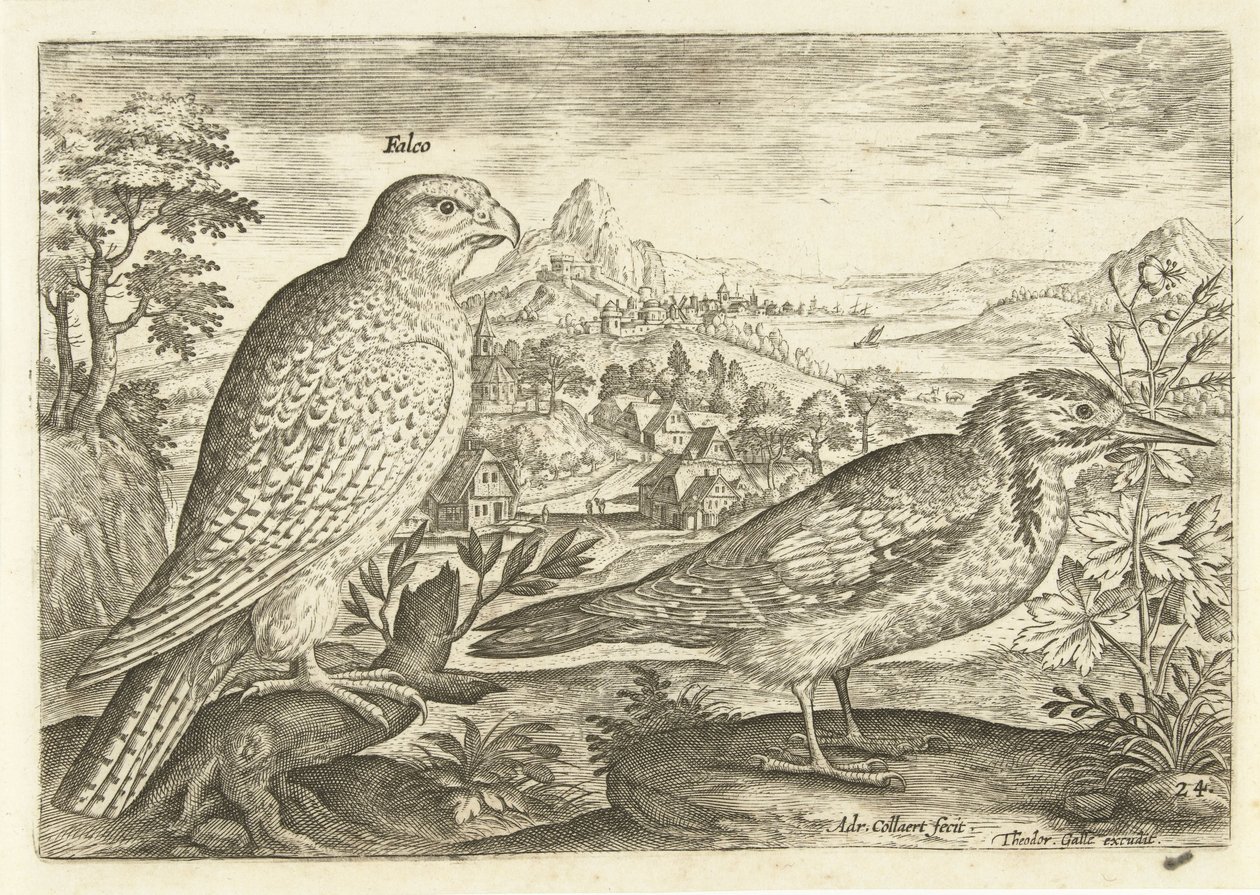 To fugle i et landskab Avium Vivae (serietitel) Fugle (serietitel) af Adriaen Collaert