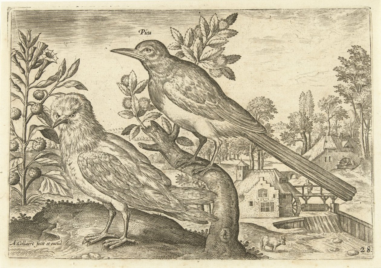 To fugle i et landskab Fugle (serietitel) Avium Vivae (serietitel) af Adriaen Collaert