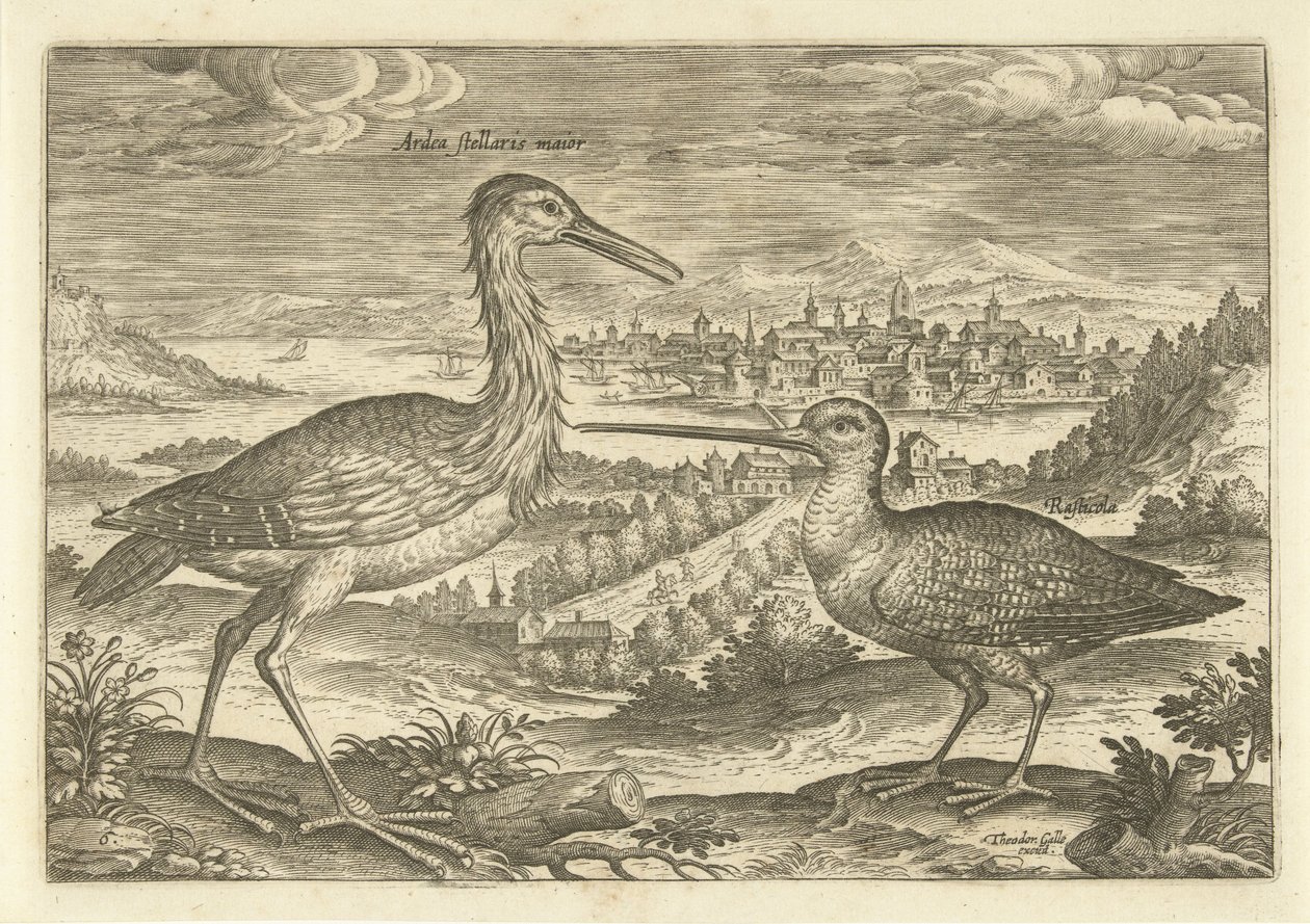 To fugle i et landskab Fugle (serietitel) Avium vivae (serietitel) af Adriaen Collaert