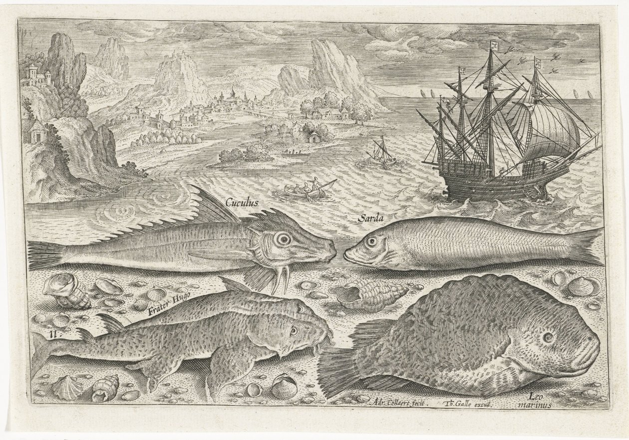 Fire fisk på stranden Fiskeri (serietitel) Piscium vivae-ikoner (serietitel) af Adriaen Collaert