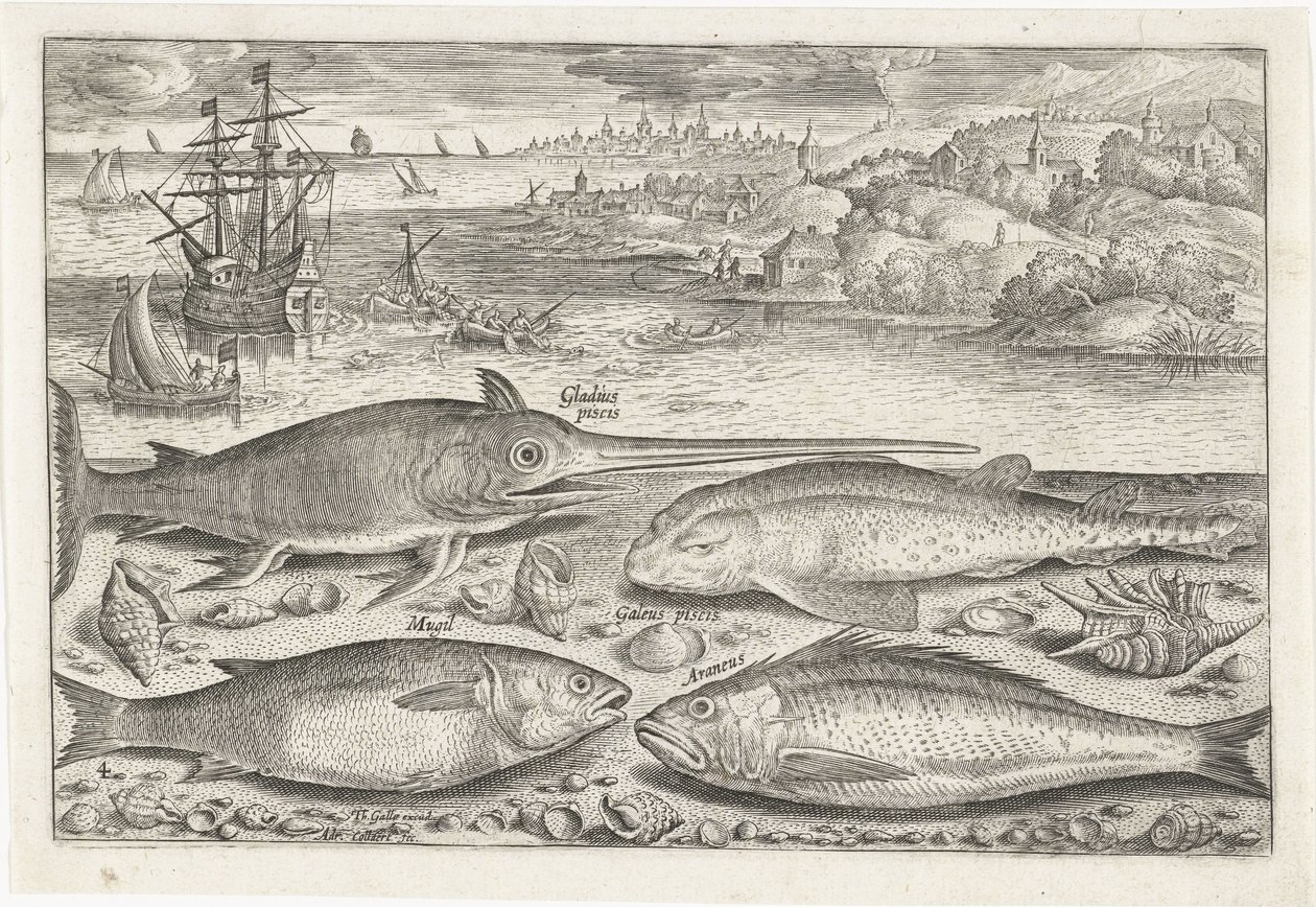 Fire fisk på stranden Fiskeri (serietitel) Piscium vivae-ikoner (serietitel) af Adriaen Collaert