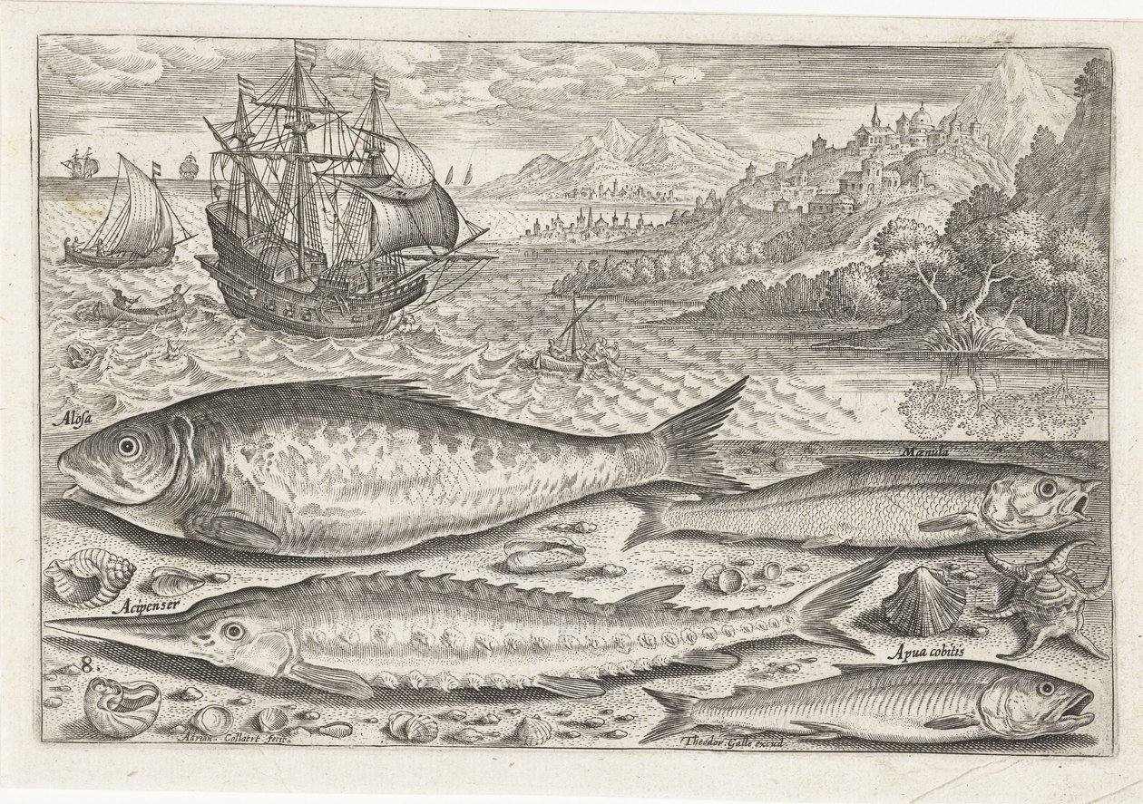 Fire fisk på stranden Fiskeri (serietitel) Piscium vivae-ikoner (serietitel) af Adriaen Collaert