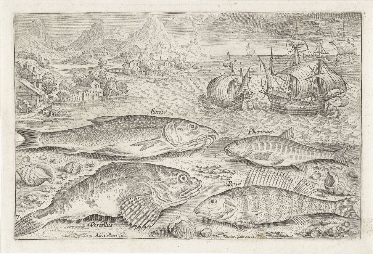 Fire fisk på stranden Fiskeri (serietitel) Piscium vivae-ikoner (serietitel) af Adriaen Collaert