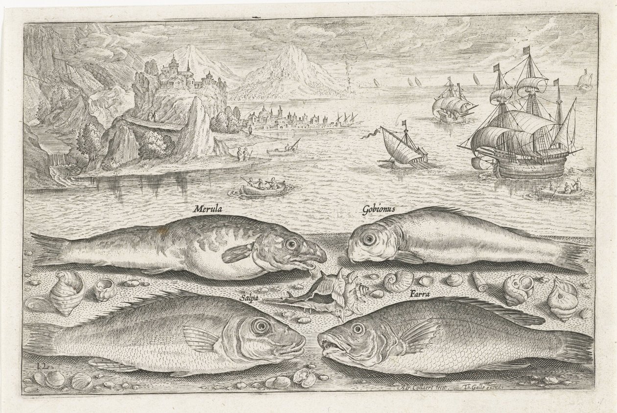 Fire fisk på stranden Fiskeri (serietitel) Piscium vivae-ikoner (serietitel) af Adriaen Collaert