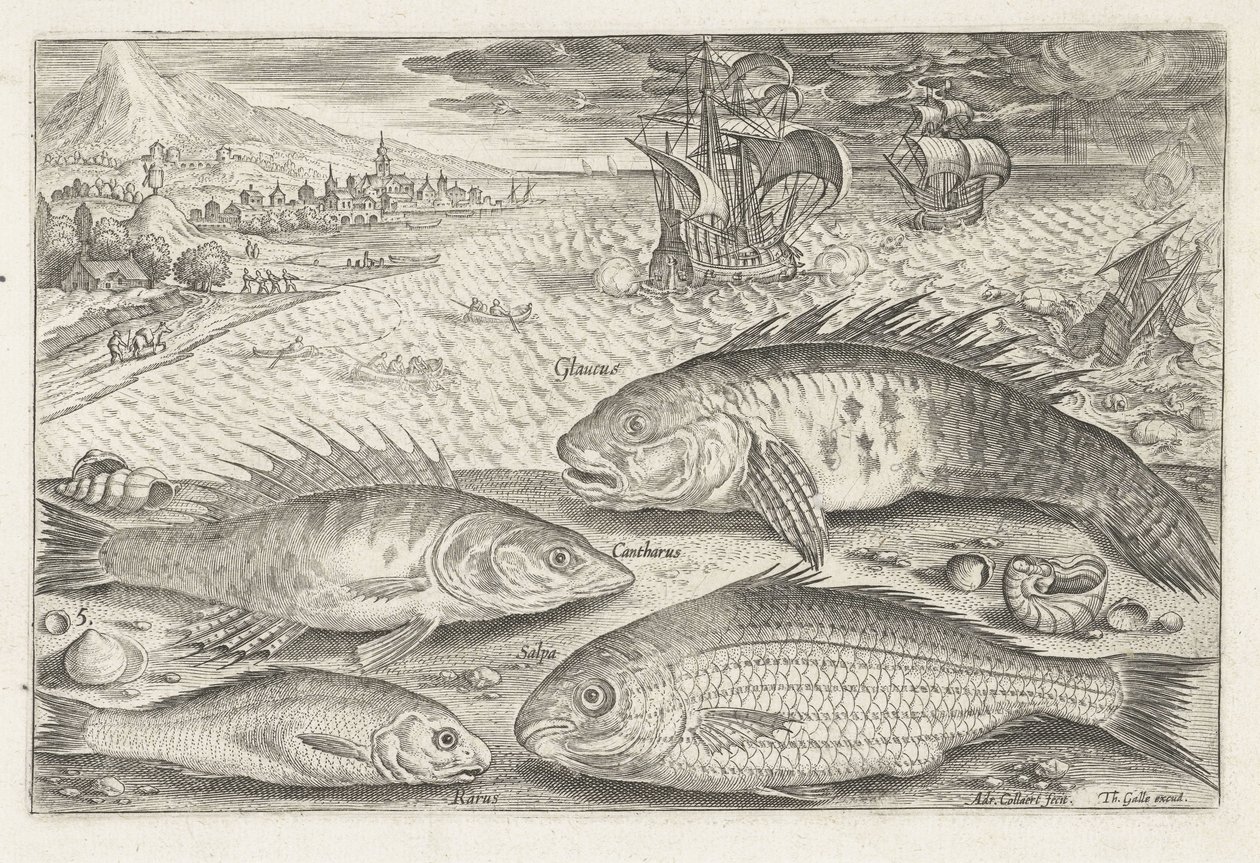 Fire fisk på stranden Fiskeri (serietitel) Piscium vivae-ikoner (serietitel) af Adriaen Collaert