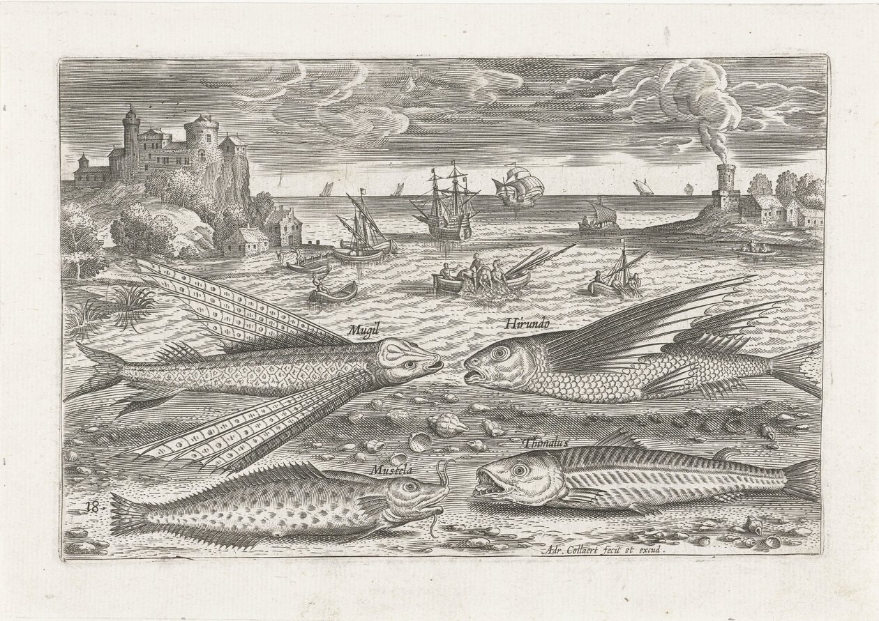 Fire fisk på stranden Fiskeri (serietitel) Piscium vivae-ikoner (serietitel) af Adriaen Collaert