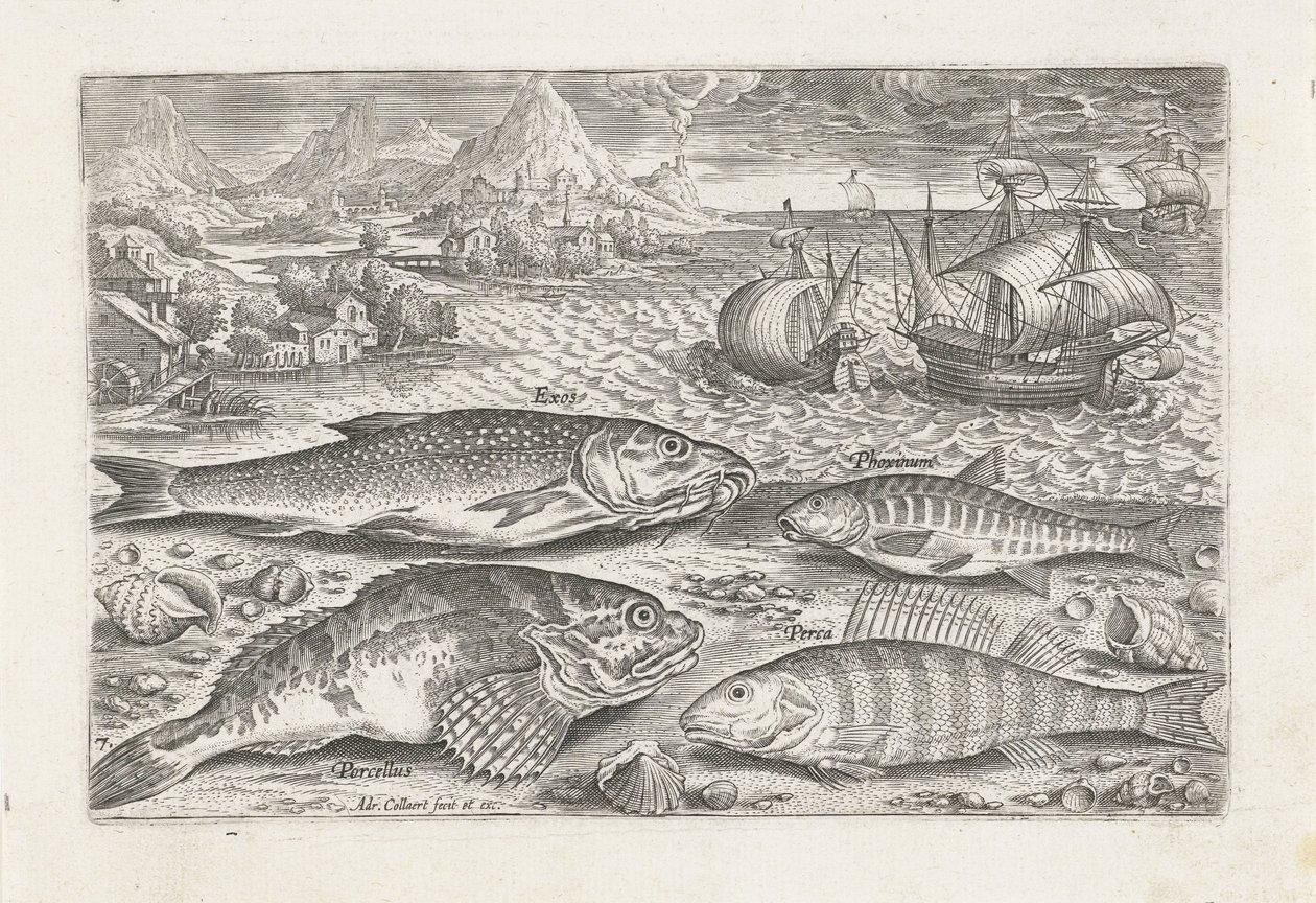 Fire fisk på stranden Fiskeri (serietitel) Piscium vivae-ikoner (serietitel) af Adriaen Collaert