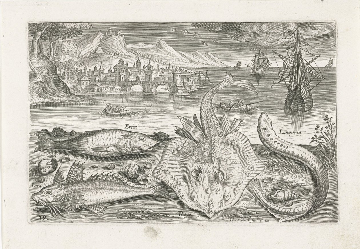 Fire fisk på stranden Fiskeri (serietitel) Piscium vivae-ikoner (serietitel) af Adriaen Collaert