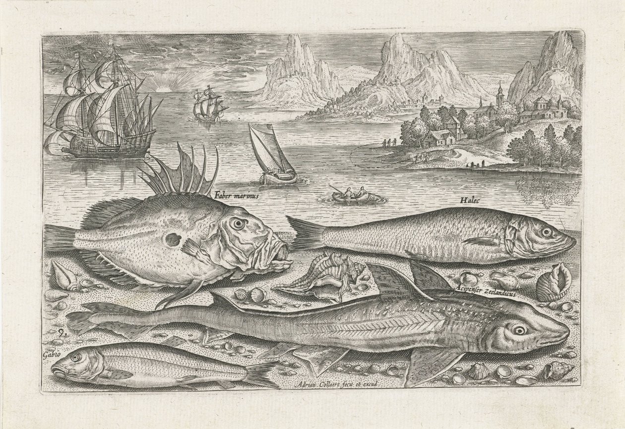 Fire fisk på stranden Fiskeri (serietitel) Piscium vivae-ikoner (serietitel) af Adriaen Collaert
