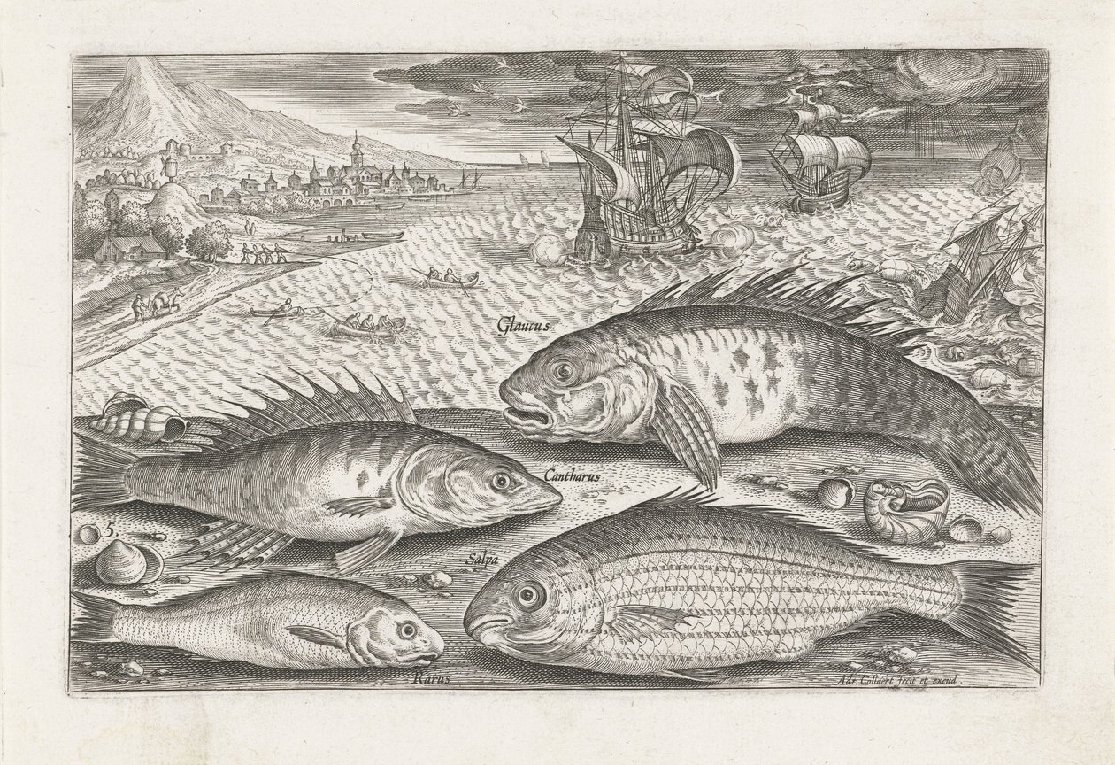 Fire fisk på stranden Fiskeri (serietitel) Piscium vivae-ikoner (serietitel) af Adriaen Collaert