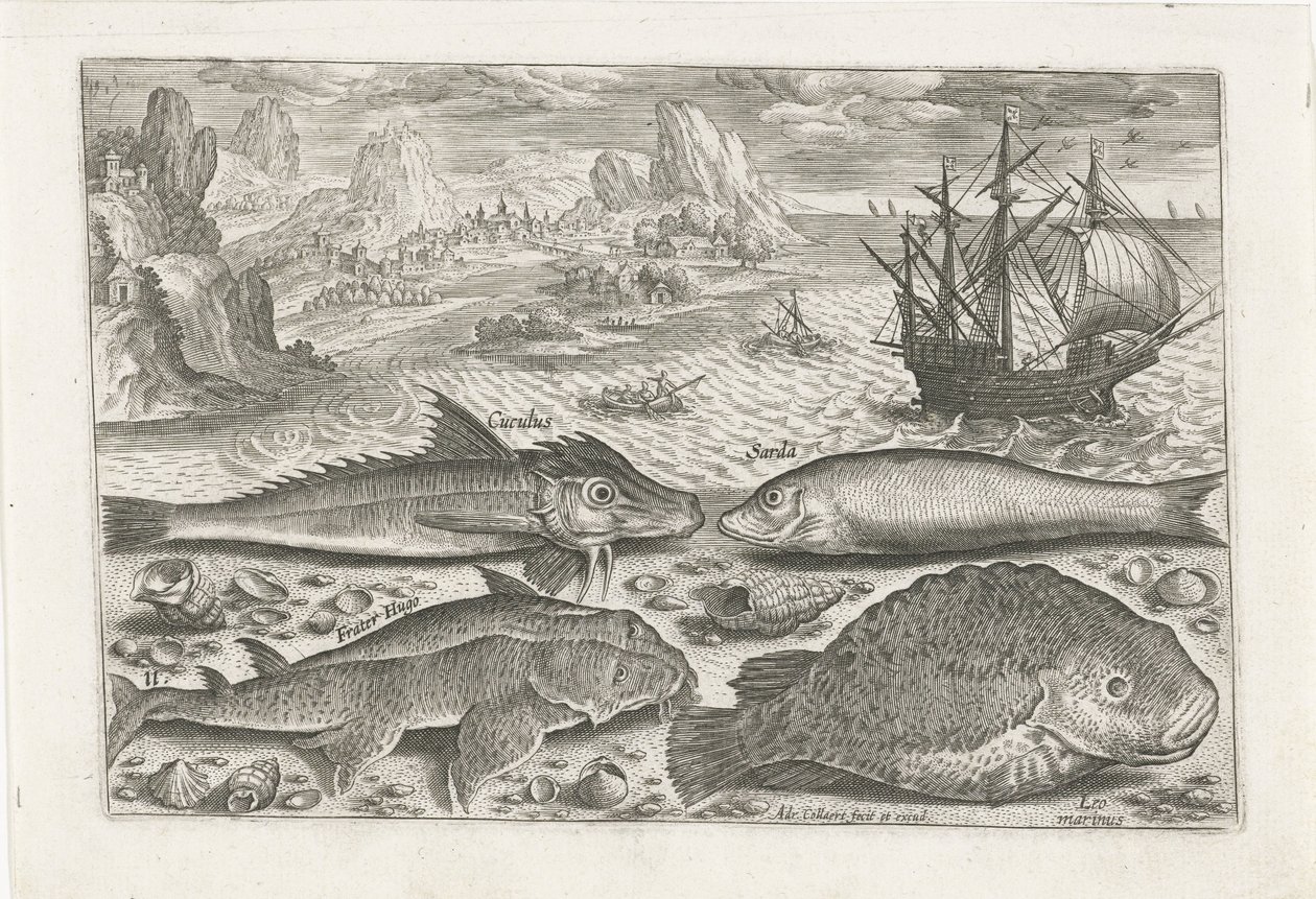 Fire fisk på stranden Fiskeri (serietitel) Piscium vivae-ikoner (serietitel) af Adriaen Collaert