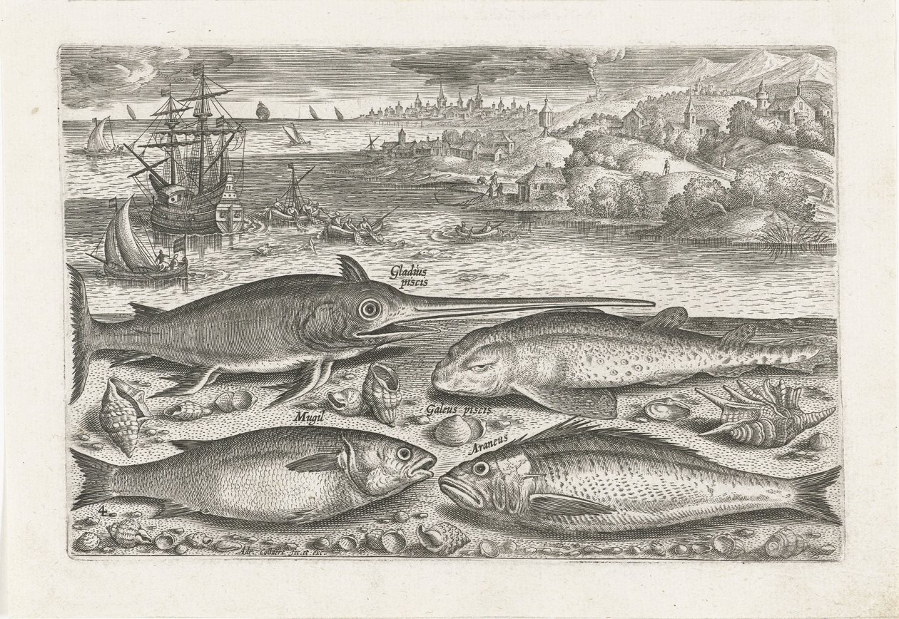 Fire fisk på stranden Fiskeri (serietitel) Piscium vivae-ikoner (serietitel) af Adriaen Collaert