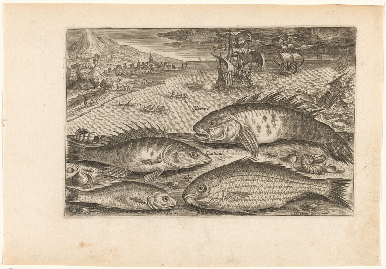 Fire fisk på stranden Fiskeri (serietitel) Piscium vivae-ikoner (serietitel) af Adriaen Collaert