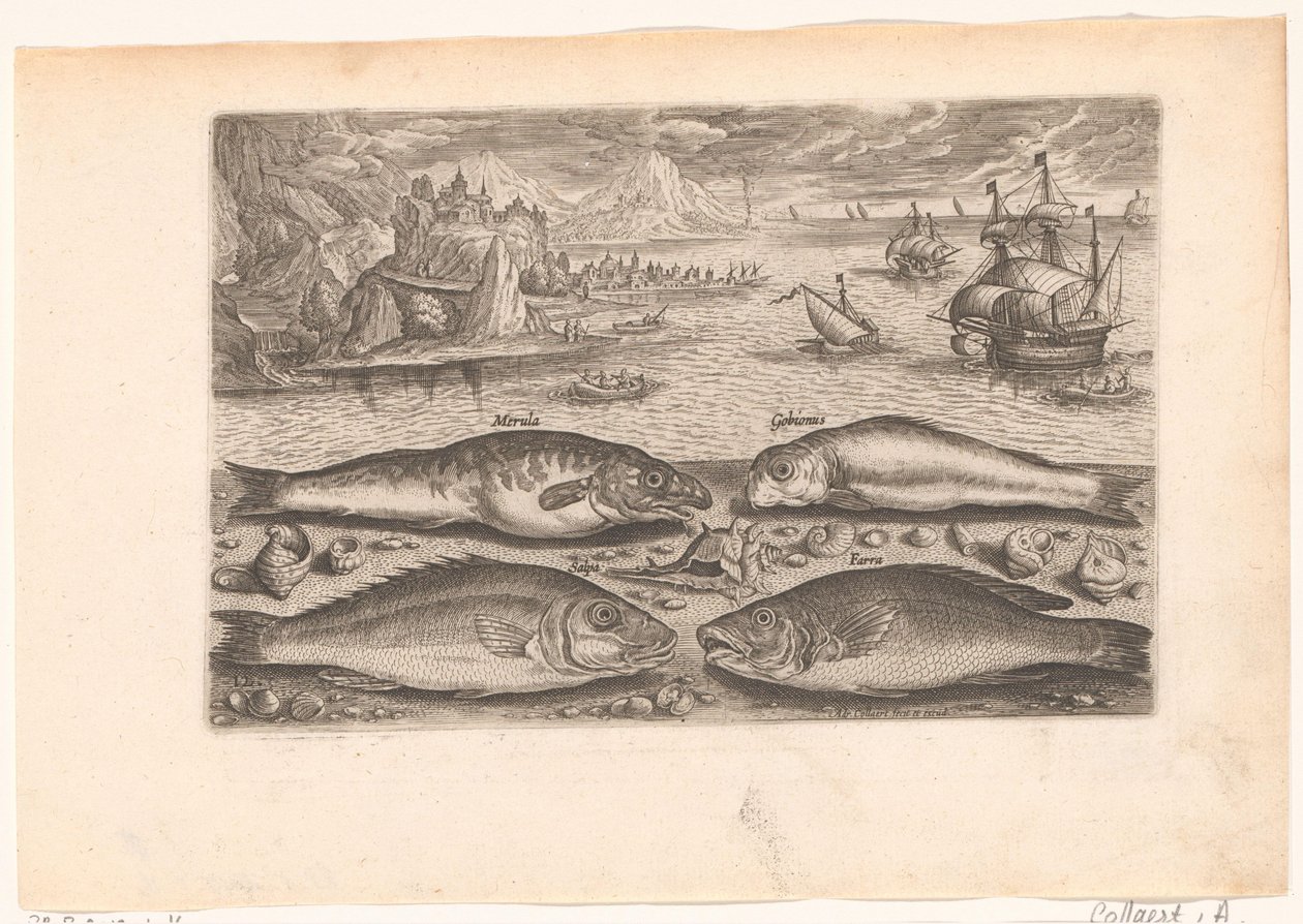 Fire fisk på stranden Fiskeri (serietitel) Piscium vivae-ikoner (serietitel) af Adriaen Collaert