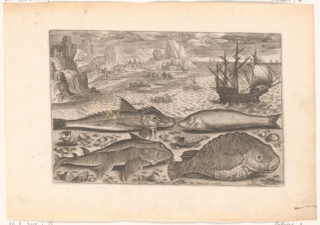 Fire fisk på stranden Fiskeri (serietitel) Piscium vivae-ikoner (serietitel) af Adriaen Collaert